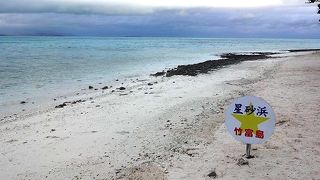 星砂の粒（有孔虫の殻）を見つける