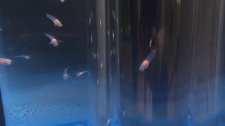 無料のスポット