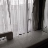 ビルの間から海が見えました。