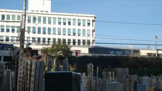 線路越しの姿も粋なものです