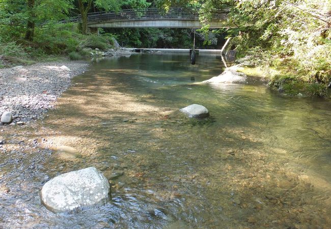 猪八重自然公園