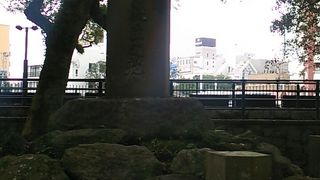 維新ロード　ふるさとの道の近くにあります