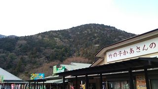 わさびが添えられたソフトクリーム