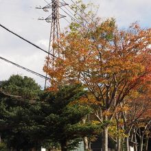 駐車場は無料でした