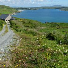 クリフトゥン湾を見下ろす農家。私有地には入り込まないように