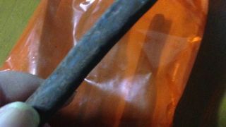 北のオランジェオイシイ