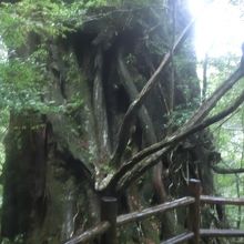 階段をおりたとこにあります