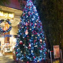 店先にはクリスマスツリーも