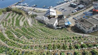 知られざる日本の絶景