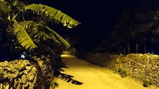 朝の掃き清められた道も，夜の静かな道も素晴らしいです