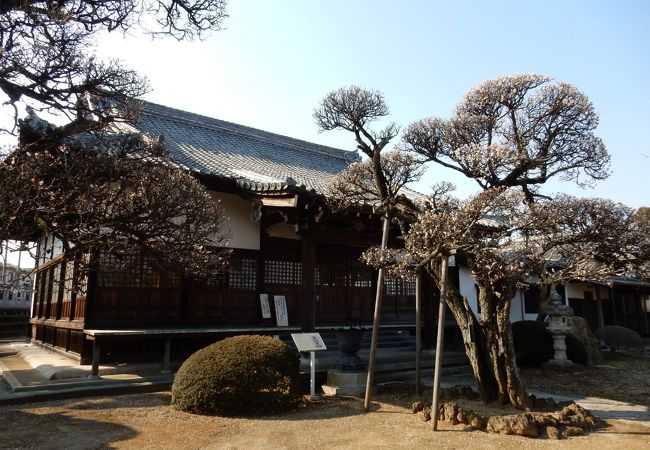 お花がきれいに咲き誇る境内　梅・桜は毎年楽しみにしています。