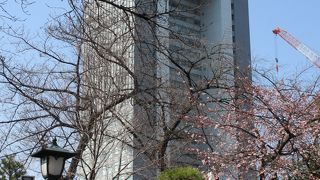 まさにそびえ立っている感じです