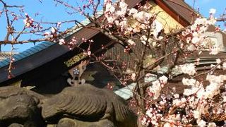 湯島天神の境内