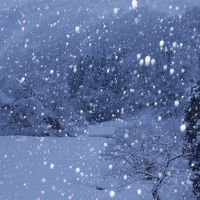 お部屋からの眺望