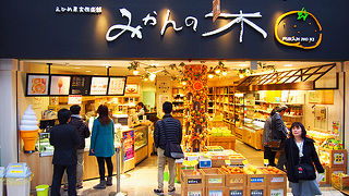 愛媛ならではのみかん専門店！