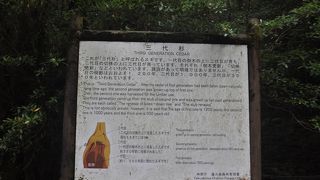 名前の通り三代目です