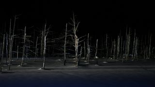 冬に行くなら夜のライトアップがよいです