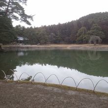 大泉が池です。