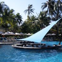 メインウイングのメインﾌﾟｰﾙ