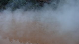 薄い朱色という感じ