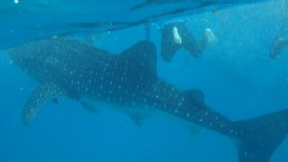 思った以上にエキサイト