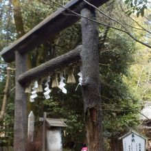 野宮神社黒木の鳥居