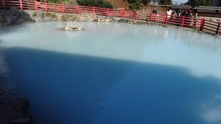 地獄を楽しむというより庭園を楽しむといった感じ