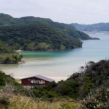 山から見た海水浴場