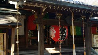 等々力渓谷の絶景とセットで