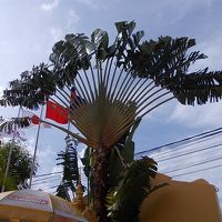 ホテル前庭の光景