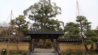 ツツジで有名なようです