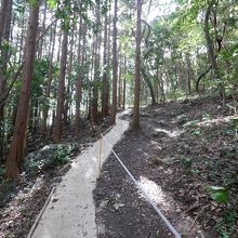 遠見の大岩に行くには道を登っていく