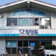 新居弁天海水浴場近くにある魚に関する展示・体験施設