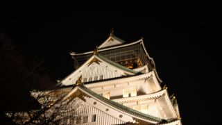 梅を見に大阪城へ