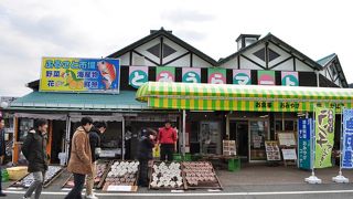 干物のお店やビワを使ったお土産