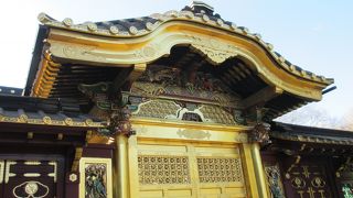 上野東照宮では張ると秋に牡丹が見られます。東照宮の門は金ぴかでした。