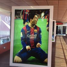 写真が展示されています