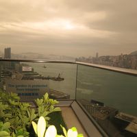 朝のビクトリア湾