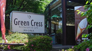 Green Cress