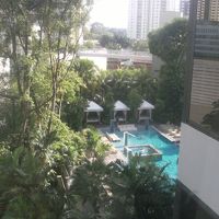 客室からプールが見えます