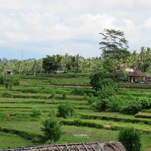 店内からの景色です