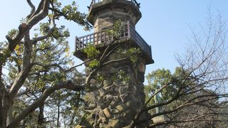 歩道橋からよく見えます