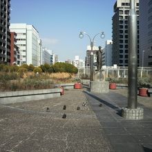 築地川銀座公園の北側の奥に置かれた少女の像周辺の様子です。。