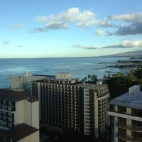 屋上のプールからの景色