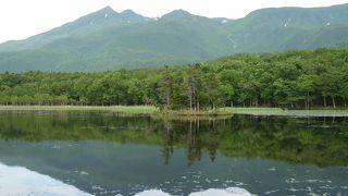 知床五湖最大です