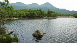 歩道と木道から見ることができます