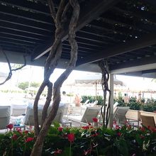 キレイな雰囲気