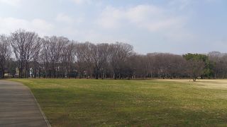 広々としてよい公園です