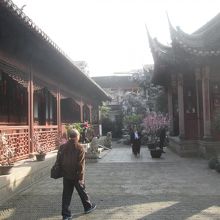 万花楼景区