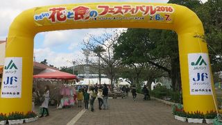 大規模な公園